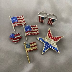 Americana Seven Piece Collection of Pins and Rings